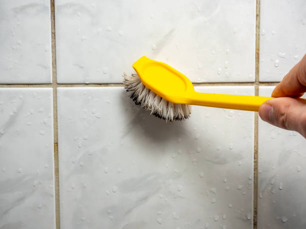 Best Residential Mold Removal  in Centennial, CO