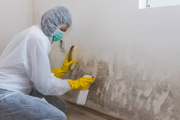 Water Damage Restoration in Centennial, CO