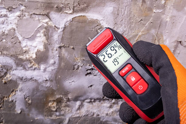 Certified Mold Removal in Centennial, CO