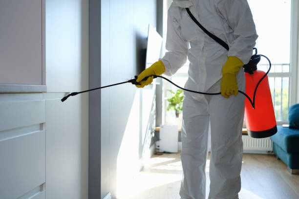 Best Crawl Space Mold Removal  in Centennial, CO