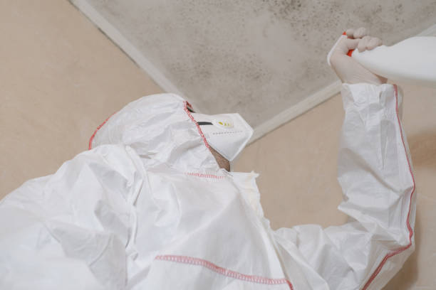 Best Same-Day Mold Removal  in Centennial, CO