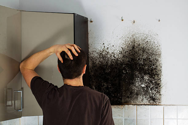 Best Emergency Mold Removal  in Centennial, CO